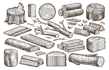 Fototapeta Natural lumber, timber, woodworking set. Carpentry materials, wood. Tree stump, logs, plank, billet vector sketch obraz