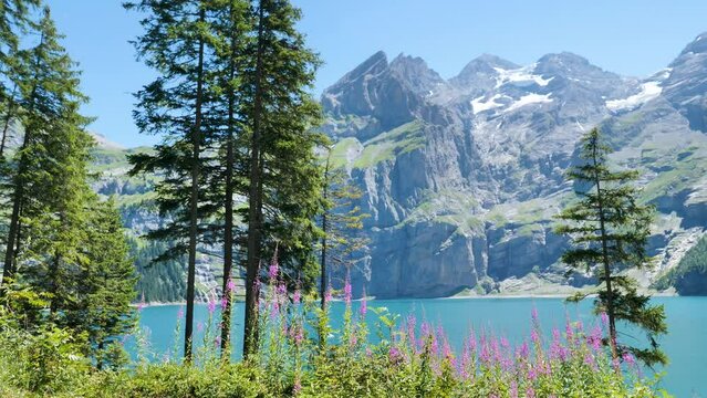 Switzerland turquoise lake and alps mountain (oeschinensee)