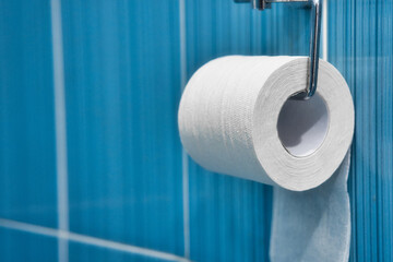 A roll of toilet paper hangs on a metal holder against a blue tile wall. Part of the toilet with...