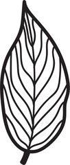 Fototapeta premium simplicity leaf freehand continuous line drawing flat design. 