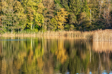 Forest lake with reflections in the water in the fall