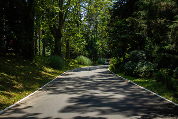 beautiful views of the summer park