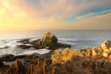 Cliff in Punta de Lobos at Pichilemu, VI Region, Chile