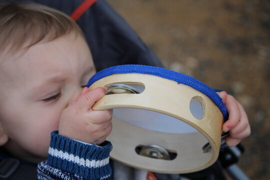 Totote Bilder Durchsuchen 202 Archivfotos, und Videos