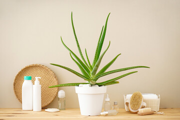 Aloe vera and composition of body care and beauty products on wooden table.