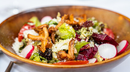 a salad with chanterelles in a five star restaurant