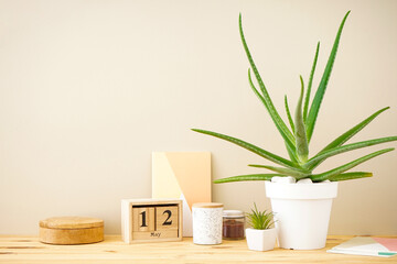 Stylish home interior mockup photo frame. Aloe vera plant and household items, space for text.