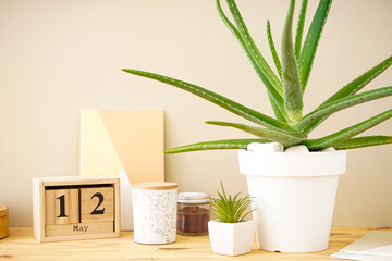 Stylish home interior mockup photo frame. Aloe vera plant and household items, close-up.