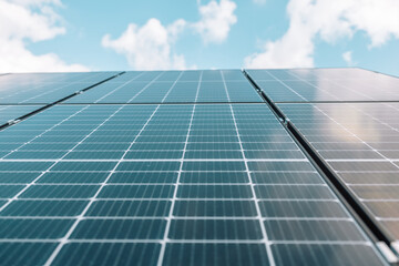 solar cell farm power plant eco technology