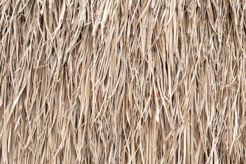 Straw texture. Tropic roof summer background.