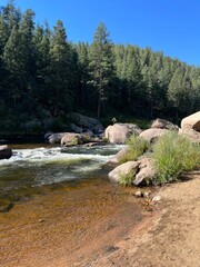 Fishing Cheesman Canyon In Deckers Colorado