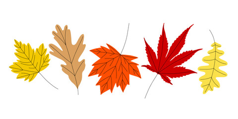 A bright autumn illustrations of various type of leaves. Flat style floral vector clip-art. Autumn symbols is a vector illustration isolated on white background.
