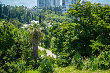 beautiful views of the summer park