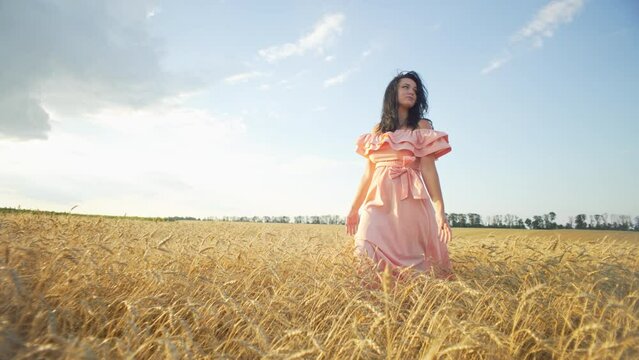 Shyvchyna in a dress strolls through an agro field of wheat. women tenderly touches the golden ears of wheat. Growing bread in the village in the fields. High quality 4k footage