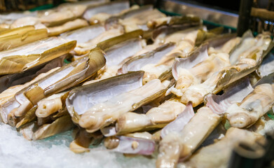 fresh fish on the market