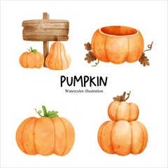 Watercolor autumn pumpkin, fall season vector illustration