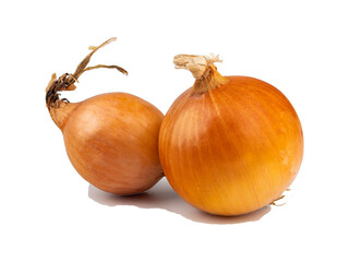 onion isolated on white