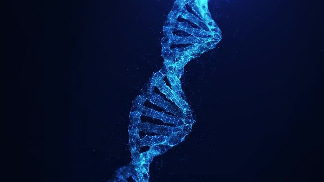 DNA genetic modeling technology concept. The helix interconnected polygons move slowly. on a dark blue background.