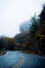 Panorámica vertical de la carretera en una montaña con bosque y árboles por encima con niebla en la ladera bajando a la calle en época de otoño e invierno