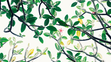 Branches and green leaves with pink flowers in the center. image for background