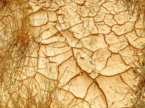 s&egrave;cheresse et craquelure de terre argileuse 