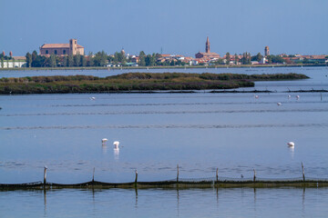comacchio po delta regional park marshes with flamingos