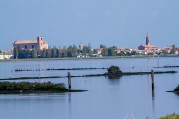 comacchio po delta regional park marshes with flamingos