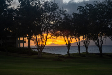 Naklejka premium sunset over the ocean