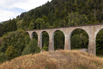 Fototapeta na wymiar Ravenna-Viadukt im Schwarzwald inmitten von Wäldern