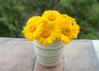 Bright yellow flowers in a vase on the background of nature. Elegant flower arrangement.