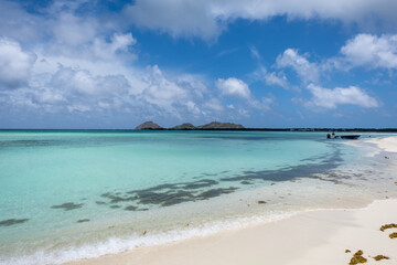 Obraz premium Tropical white beach in Madrisqui island (Los Roques Archipelago, Venezuela).