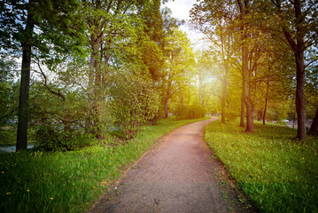 A path in the summer park