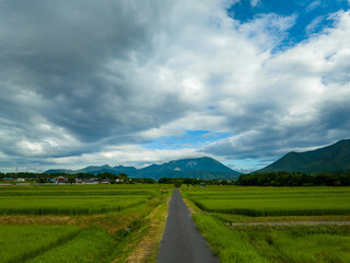 Straight road through rice field leads to foot of Mt. Daisen on partly cloudy day