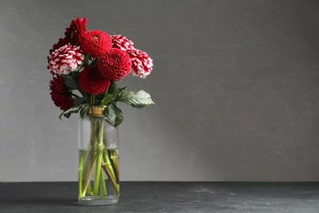 Fotobehang Beautiful dahlia flowers in vase on table against grey background. Space for text © New Africa