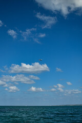 Fototapeta na wymiar 宮古島マリンブルーの海と青空と飛行機
