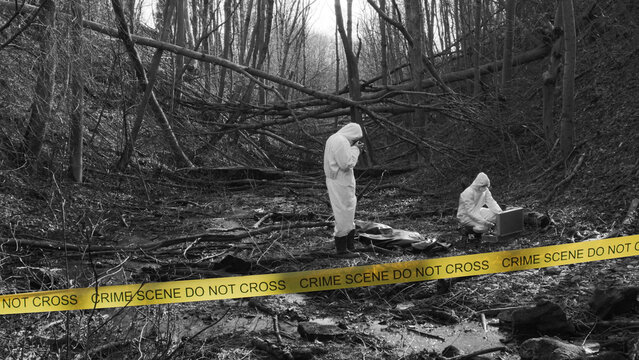 Detectives are collecting evidence in a crime scene. Forensic specialists are making expertise. Police investigation in a forest. Black and white image with yellow police line.