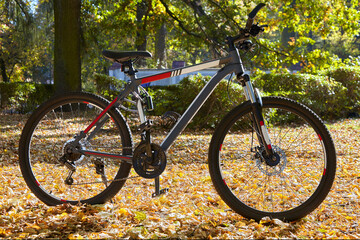 Fototapeta na wymiar Mountain bike in excellent condition in autumn park. Black bicyc