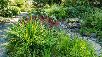 Fototapeta premium Lush Seatac Garden