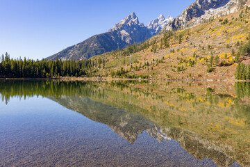Scenic Autumn Reflection Landscape in Grand Teton National Park Wyoming