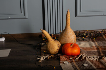 autumn background with three pumpkins on a plaid with garland. Halloween Mood.
fall atmocphere