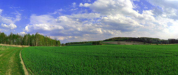 Fototapeta na wymiar panoramic view of the green rural farmland and country road with beautiful clouds