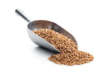 Uncooked buckwheat grain in scoop isolated on white background.