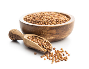 Uncooked buckwheat grain in scoop isolated on white background.