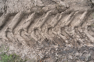 Close-up of a tractor wheel print in dark soft ground. There is a lot of grass. Background. Texture.