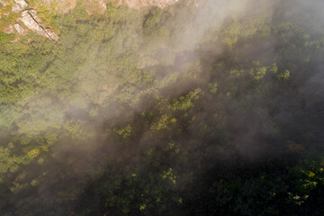 aerial view of the mist in a mountain forest
