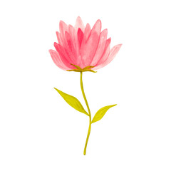 Decorative flower. Watercolor illustration. Isolate on a transparent background.
