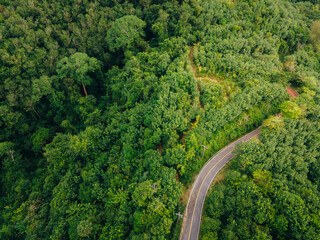 Top view curvy road in the middle of green forest. Amazing nature landscape. Aerial view from flying drone. summer green trees and road in forest.
