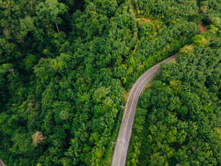 Top view curvy road in the middle of green forest. Amazing nature landscape. Aerial view from flying drone. summer green trees and road in forest.