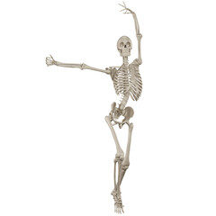 skeleton posing 3d render	