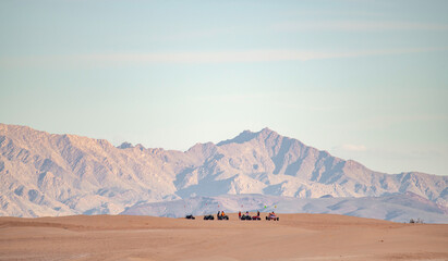 Naklejka na ściany i meble Group of off roaders on desert sand dune